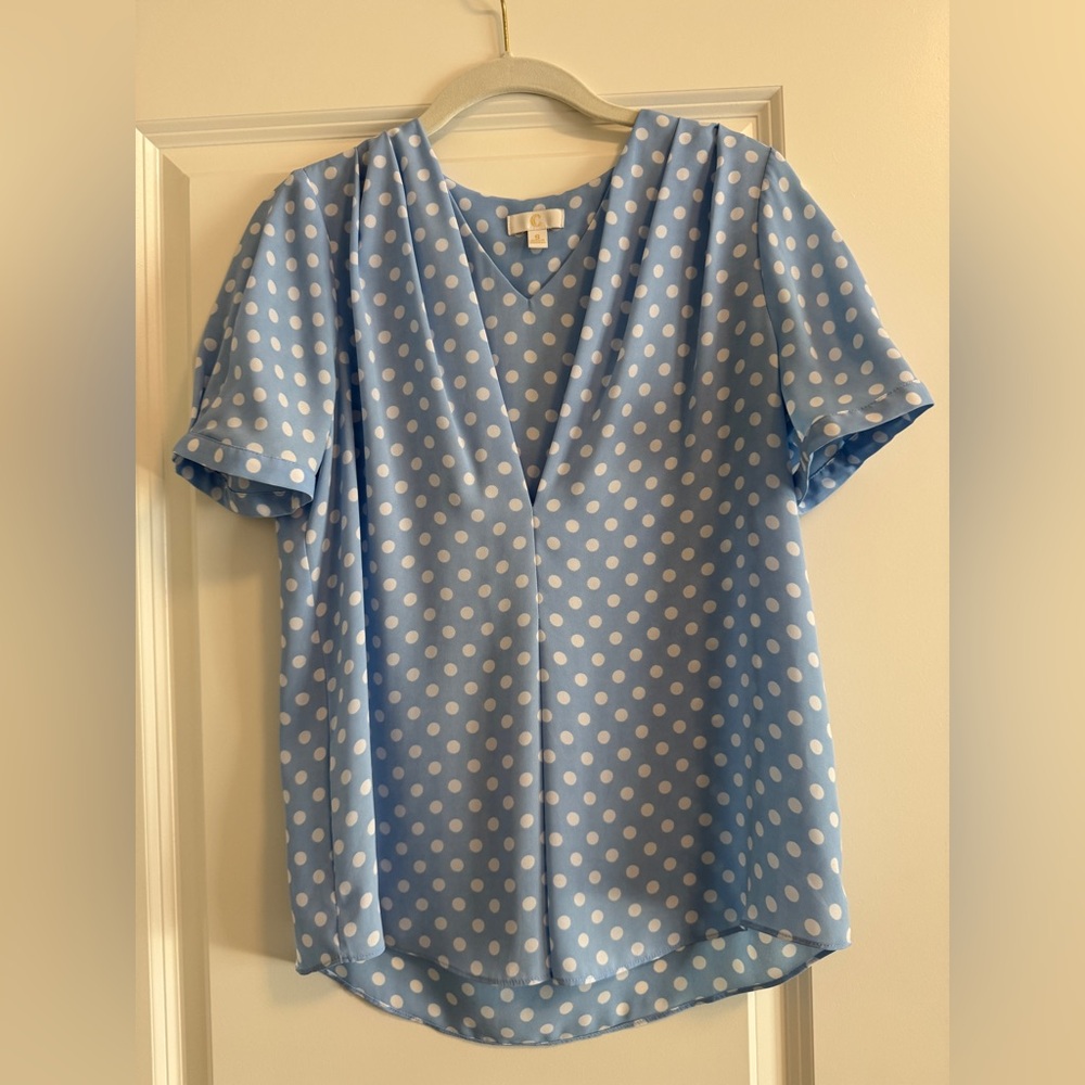 Light Blue Polka Dot V-Neck Blouse